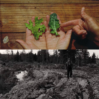 Jsme schopni soužití? Příroda a my.