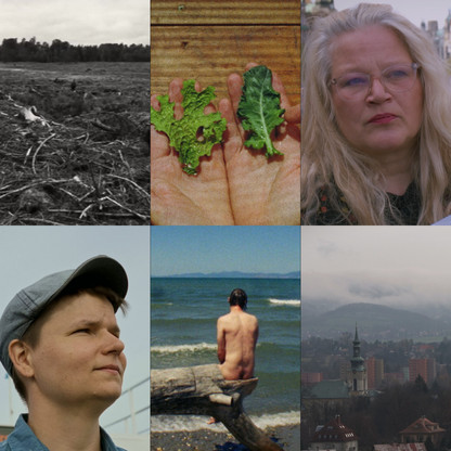 KineDok na doma - každý týden jiný dokument