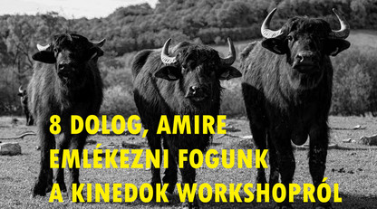 Behind-the-scenes video from the KineDok workshop