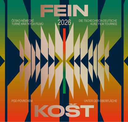 Screening + discussion at NaFilM: FEINKOŠT 2026