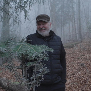 Voice of the Forest